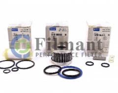 FILMANT Фильтр газовый для КАМАЗ 5490 из 3х (080/800022/A +  180/800043/A + 180/800046/A) LVF77